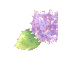 紫陽花のイラスト