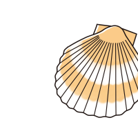 貝殻のイラスト