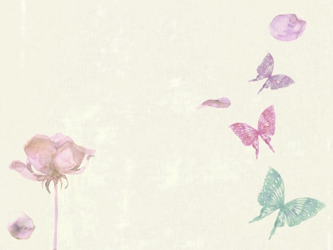 蝶とお花の壁紙