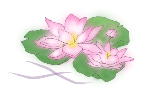 薄いピンクの蓮の花のイラスト