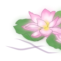 薄いピンクの蓮の花のイラスト