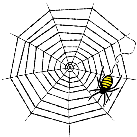 蜘蛛の巣と蜘蛛のイラスト