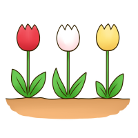 チューリップのお花が3輪咲いているイラスト