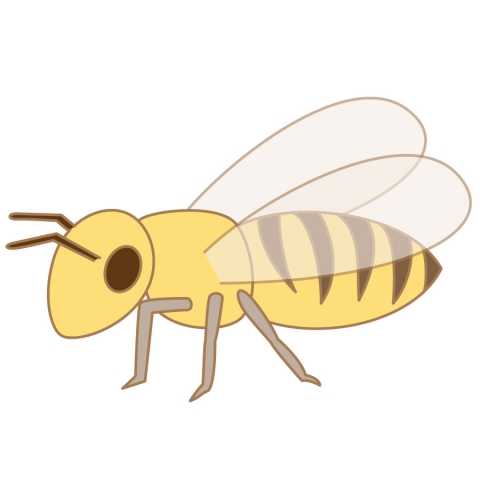 セイヨウミツバチのイラスト