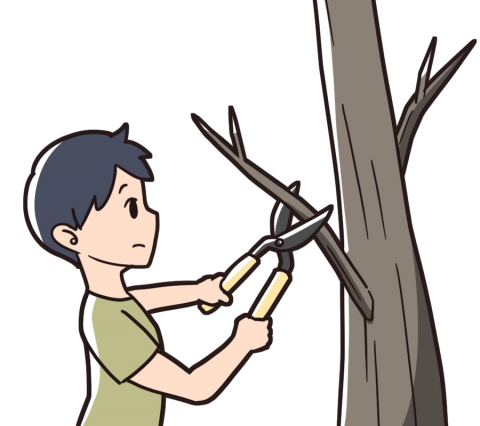枝を切る男性のイラスト