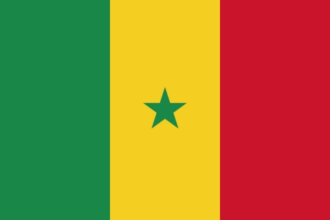 セネガルの国旗のイラスト