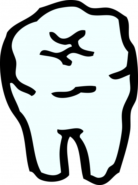 歯のイラスト
