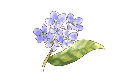 紫のお花のイラスト