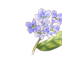 紫のお花のイラスト