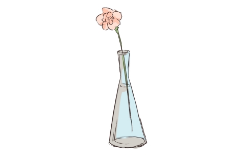 花瓶のイラスト - 無料イラストのIMT 商用OK、加工OK