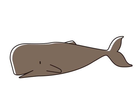クジラのイラスト