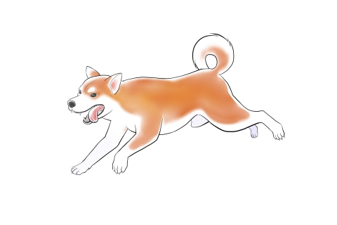 犬のイラスト 無料イラストのimt 商用ok 加工ok