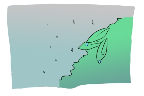 雨のイラスト