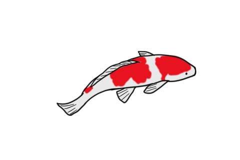 エレガント鯉 イラスト フリー 最高の動物画像