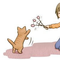 猫と遊ぶ女性のイラスト