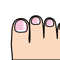 足の指のイラスト