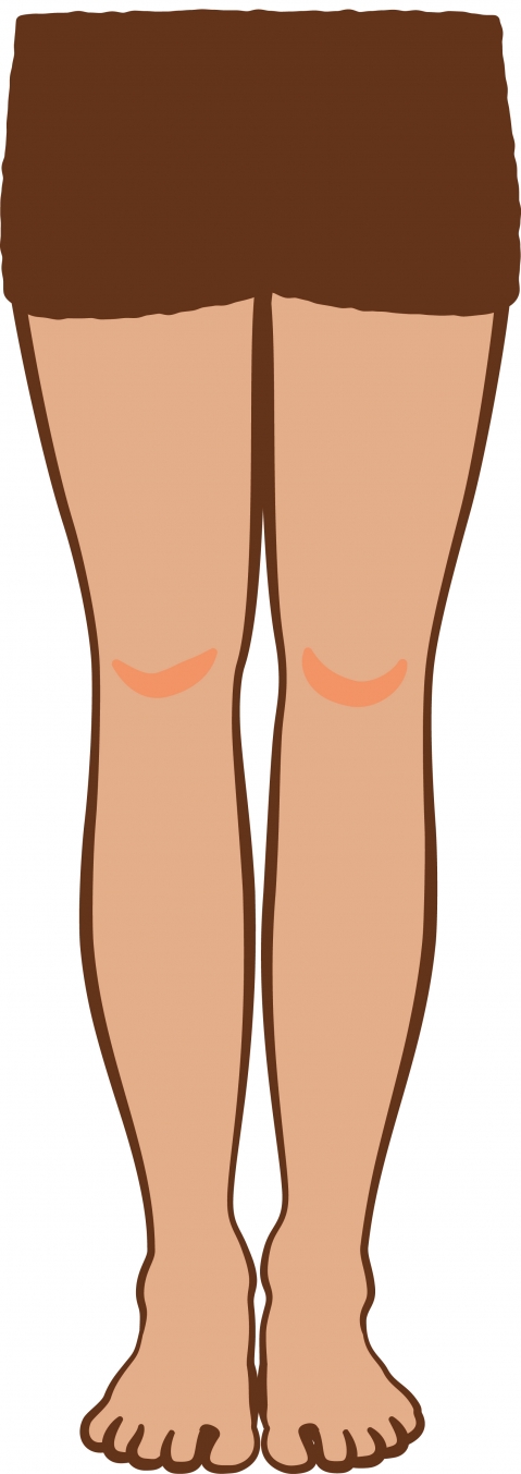 女性の足のショートパンツ履いたイラスト