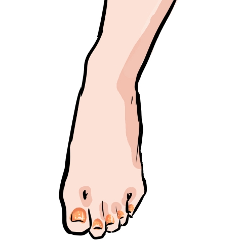 女性の足首からの足元のイラスト
