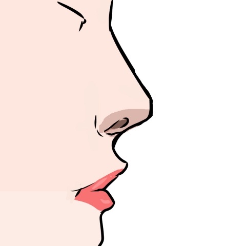 女性の横顔の鼻のどアップのイラスト