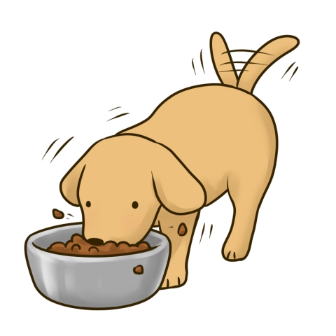 エサを食べる犬のイラスト