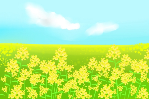エレガント菜の花 畑 イラスト かわいいディズニー画像