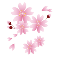 綺麗な桜の花びらのイラスト