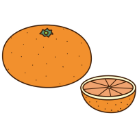 オレンジ色のみかんと半分にした蜜柑の断面のイラスト