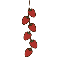 干し柿の吊るしてあるイラスト