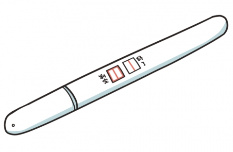 妊娠検査薬の分かりやすいイラスト
