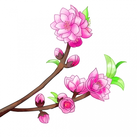 桃の花のイラスト