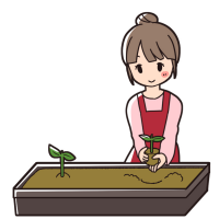 プランターに苗を植える女性のイラスト