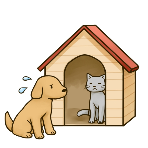 犬小屋に猫がいて困惑する犬のイラスト