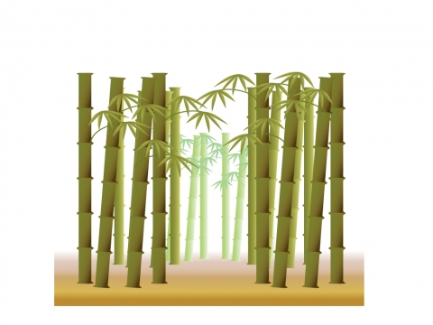 たくさん竹が生えている竹林のイラスト